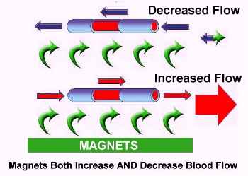Blood flow - Magnets