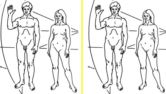 Pioneer plaque figures